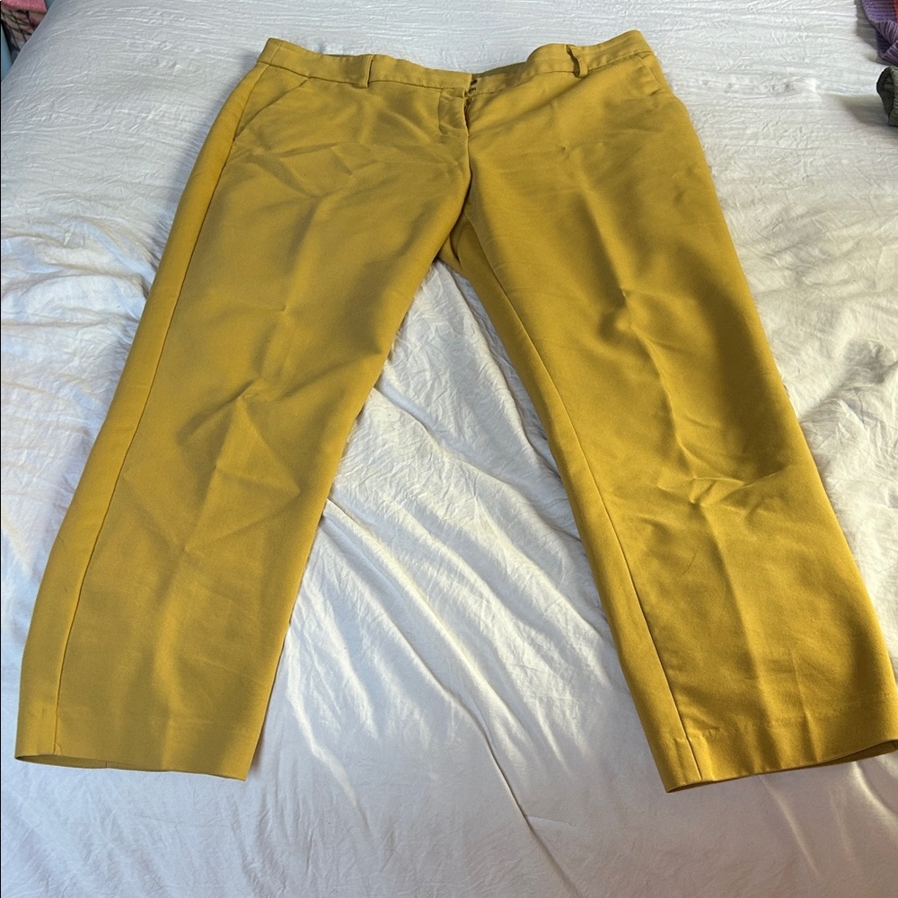 Express Women's Mustard Cropped Pants